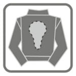 Žep za hrbtno zaščito